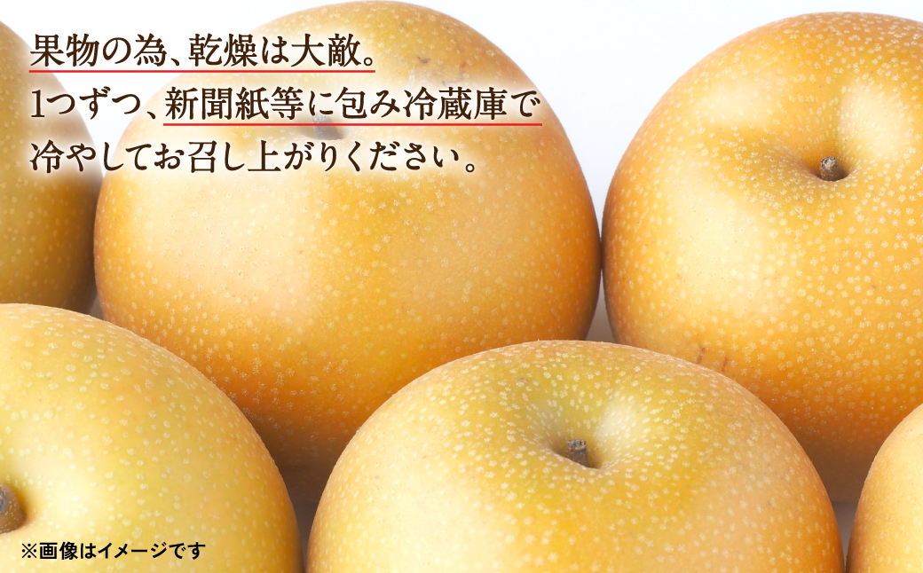 【先行予約】【2025年8月上旬より順次発送】熊本県産 季節ごとの訳あり梨 合計2kg　ナシ 幸水 豊水 秋月 新高 神興梨 果物 くだもの フルーツ