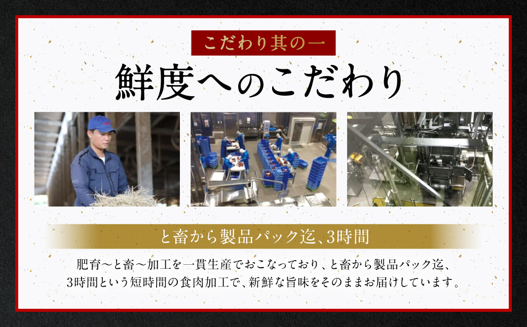 馬刺し部位堪能 7種食べ比べセット（シモフリ・ロース・赤身・ヒレ・タタキ・桜うまトロ・桜ユッケ）専用タレ付き 馬肉 ブロック 冷凍 個装 パック 詰め合わせ