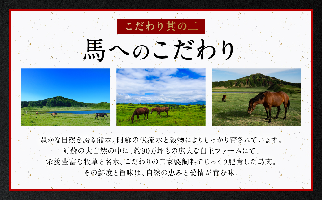 国産馬刺しブロック560g　馬刺し専用タレ付き 馬肉 冷凍 個装 パック