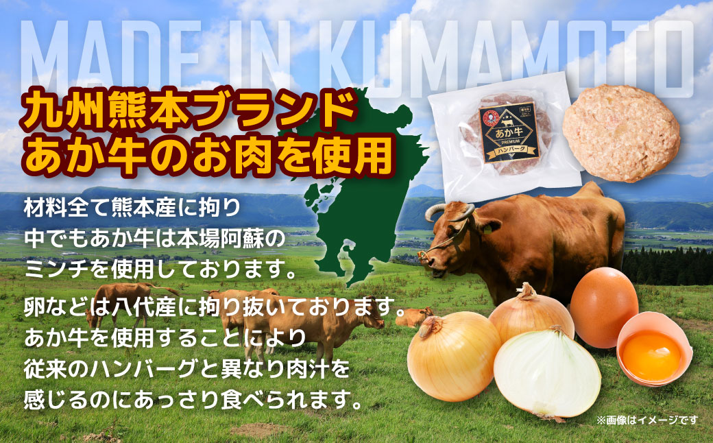 ＜冷凍＞くまもとあか牛ハンバーグ（160g×10個入り） 熊本県産 手作り てごね おかず お惣菜 お弁当