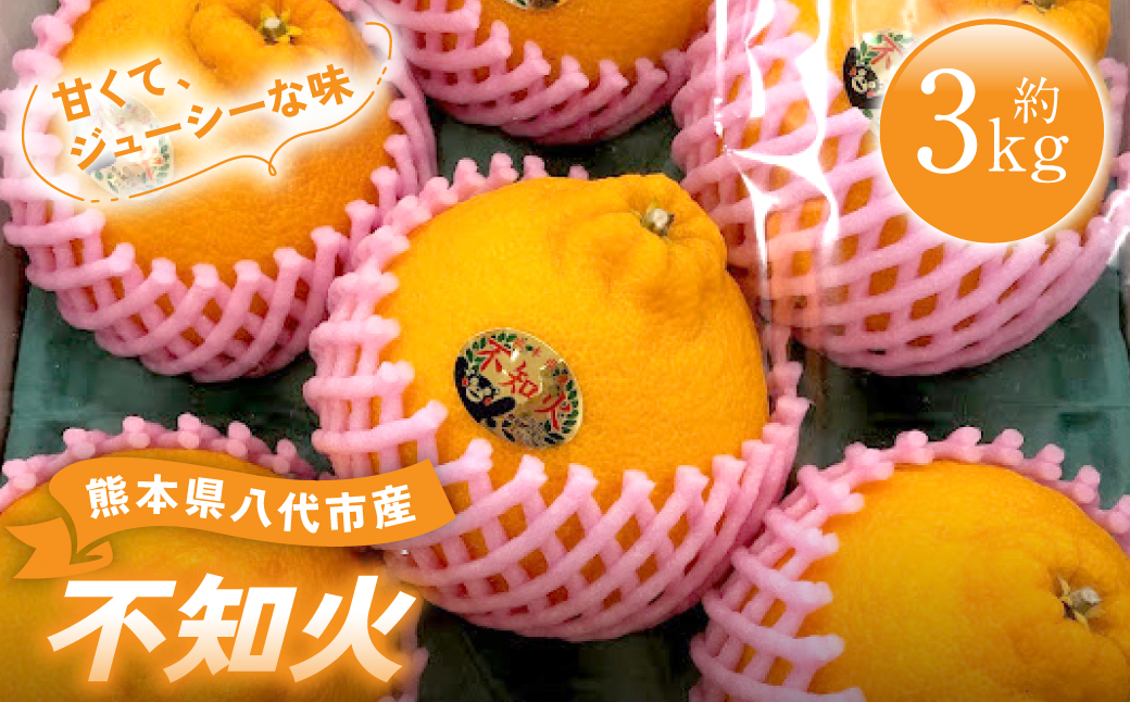 ãå
è¡äºçŽã çæ¬ç å
«ä»£åžç£ äžç¥ç« ïŒããã¬ãïŒ çŽ3kg èæ ãã«ã³ ã¿ãã ãã³ã«ã³ ã2026幎1æäžæ¬ããé æ¬¡çºéã