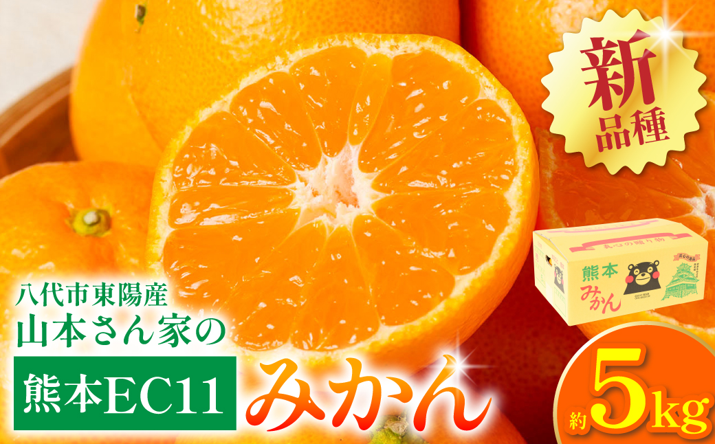 【先行予約】 八代市東陽産山本さん家の「熊本EC11みかん」 約5kg みかん 柑橘 フルーツ 果物 果実 ミカン 蜜柑 熊本県 八代市 【2026年11月上旬より順次発送】