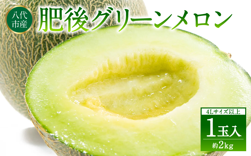 【先行予約】 熊本県八代市産 肥後グリーンメロン 4L以上 1玉 約2kg 果物 くだもの フルーツ 肥後グリーン メロン 青肉メロン 【2026年6月上旬より順次発送】