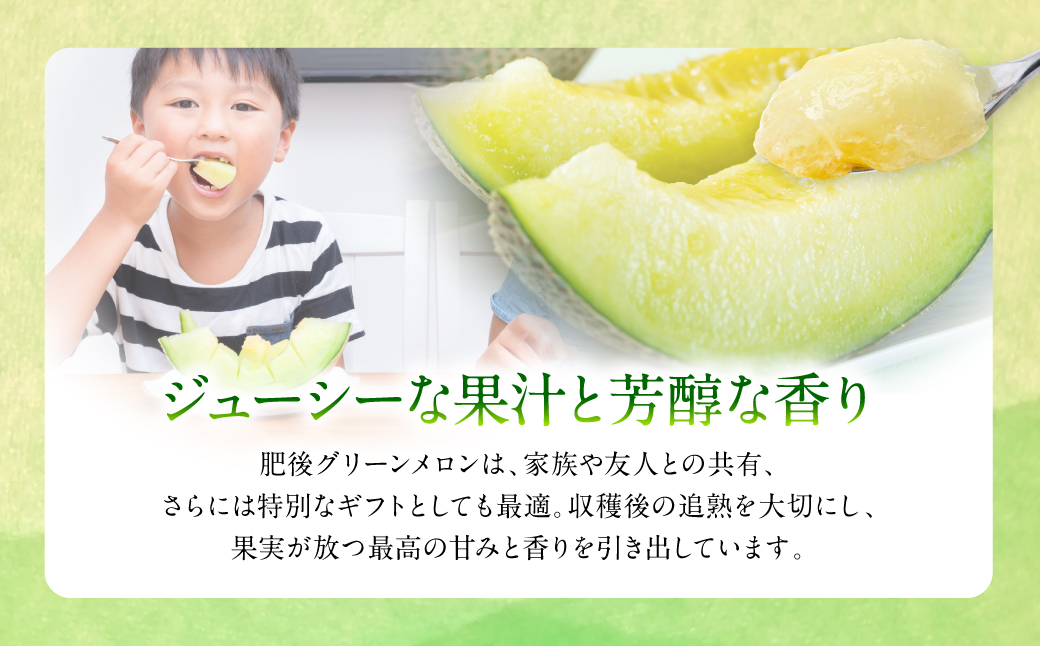 【先行予約】肥後グリーンメロン 熊本県産 1玉入 約1.5kg 青肉メロン くだもの 果物 フルーツ デザート 熊本 メロン ジューシー 大きい 旬 お取り寄せ ギフト【2025年6月上旬より順次発送】