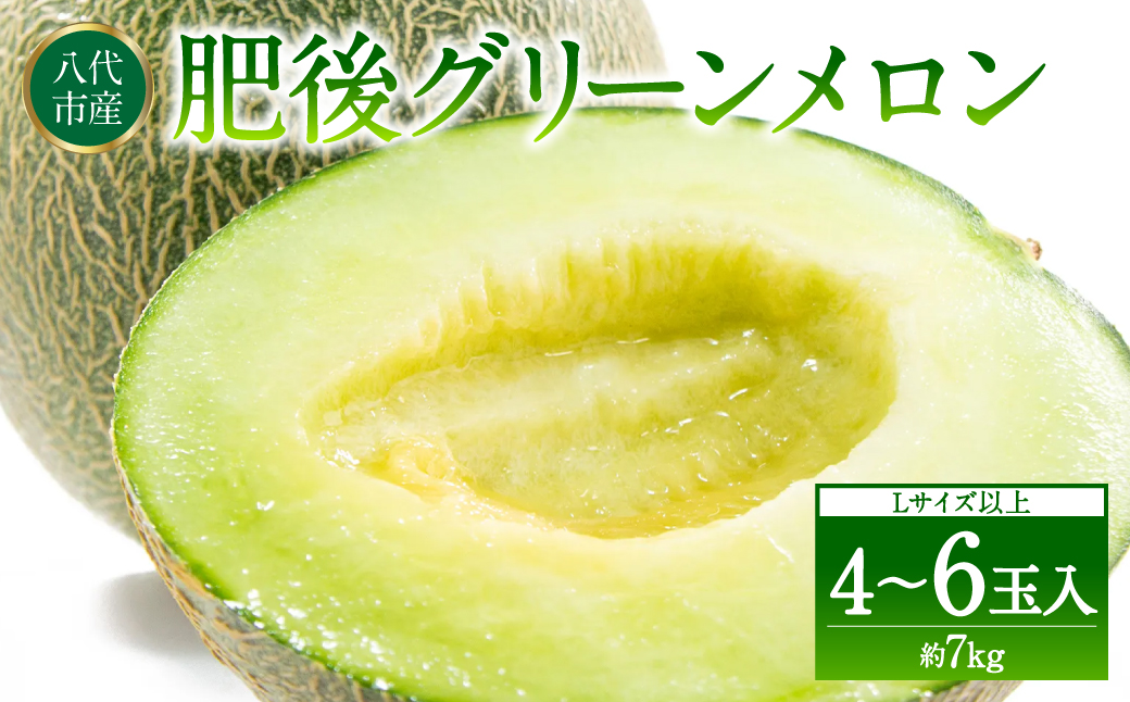 【先行予約】 熊本県八代市産 肥後グリーンメロン L以上  4～6玉 約7kg 果物 くだもの フルーツ 肥後グリーン メロン 青肉メロン 【2026年6月上旬より順次発送】