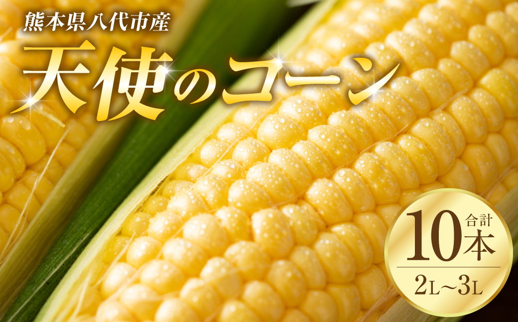 【先行予約】熊本県八代市産「天使のコーン」2L～3Lサイズ 合計10本入り（スイートコーン とうもろこし コーン料理 とうもろこし料理）【2025年5月中旬より順次発送】