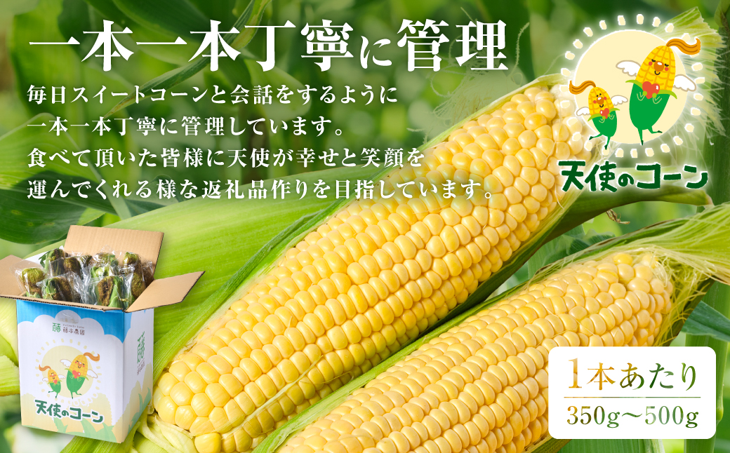 ãå
è¡äºçŽã çæ¬çå
«ä»£åžç£ã倩䜿ã®ã³ãŒã³ã2Lïœ3Lãµã€ãº åèš10æ¬å
¥ã ã¹ã€ãŒãã³ãŒã³ ãšããããã ã³ãŒã³æç ãšãããããæç ã2026幎5æäžæ¬ããé æ¬¡çºéã