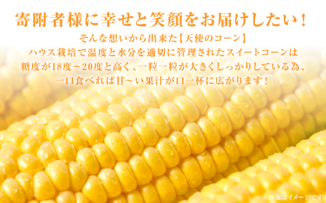 ãå
è¡äºçŽã çæ¬çå
«ä»£åžç£ã倩䜿ã®ã³ãŒã³ã2Lïœ3Lãµã€ãº åèš10æ¬å
¥ã ã¹ã€ãŒãã³ãŒã³ ãšããããã ã³ãŒã³æç ãšãããããæç ã2026幎5æäžæ¬ããé æ¬¡çºéã