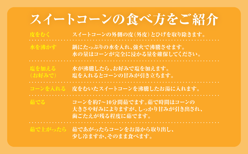 【先行予約】熊本県八代市産「天使のコーン」2L～3Lサイズ 合計10本入り（スイートコーン とうもろこし コーン料理 とうもろこし料理）【2025年5月中旬より順次発送】