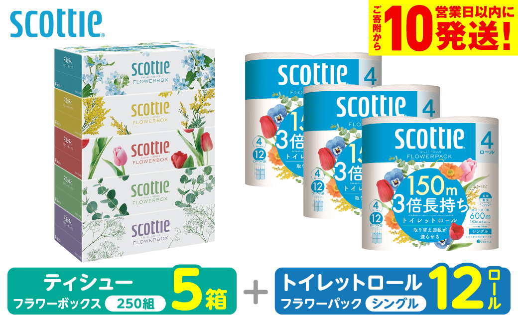 【スコッティ】 組み合わせ ティシュー フラワーボックス 250組 5箱 トイレットロール シングル フラワーパック 3倍長持ち 12ロール ティッシュ トイレットペーパー 日用品 防災備蓄 ストック 備蓄 新生活 防災 消耗品 生活用品 日用消耗品 箱ティッシュ