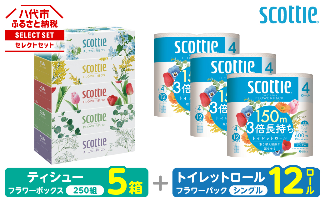 【スコッティ】 組み合わせ ティシュー フラワーボックス 250組 5箱 トイレットロール シングル フラワーパック 3倍長持ち 12ロール ティッシュ トイレットペーパー 日用品 防災備蓄 ストック 備蓄 新生活 防災 消耗品 生活用品 日用消耗品 箱ティッシュ