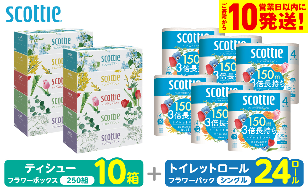 【スコッティ】 組み合わせ ティシュー フラワーボックス 250組 10箱 トイレットロール シングル フラワーパック 3倍長持ち 24ロール ティッシュ トイレットペーパー 日用品 防災備蓄 ストック 備蓄 新生活 防災 消耗品 生活用品 日用消耗品 箱ティッシュ