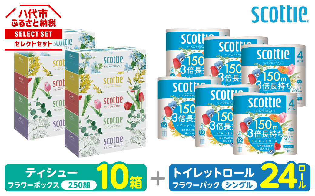 【スコッティ】 組み合わせ ティシュー フラワーボックス 250組 10箱 トイレットロール シングル フラワーパック 3倍長持ち 24ロール ティッシュ トイレットペーパー 日用品 防災備蓄 ストック 備蓄 新生活 防災 消耗品 生活用品 日用消耗品 箱ティッシュ