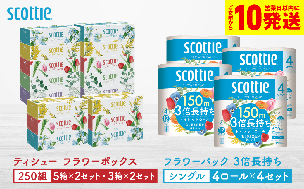 【スコッティ】ティシュー フラワーボックス 250組（5箱パック×2セット・3箱パック×2セット）＋フラワーパック 3倍長持ち（4ロール(シングル)パック×4セット）ティッシュ トイレットペーパー 日用品