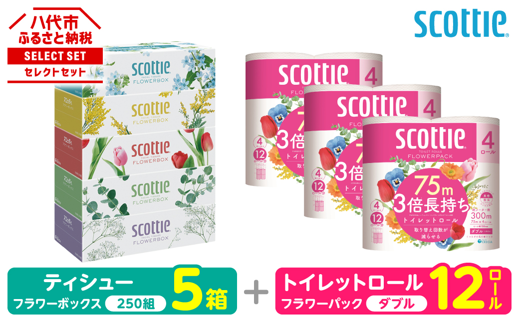 【スコッティ】 組み合わせ ティシュー フラワーボックス 250組 5箱 トイレットロール ダブル フラワーパック 3倍長持ち 12ロール ティッシュ トイレットペーパー 日用品 防災備蓄 ストック 備蓄 新生活 防災 消耗品 生活用品 日用消耗品 箱ティッシュ