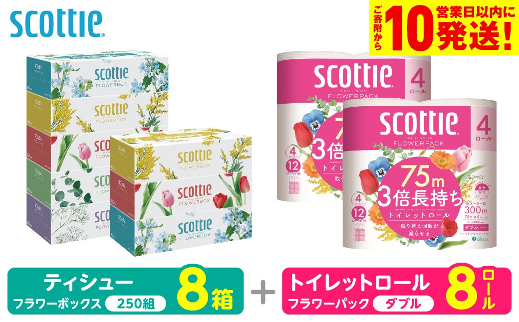 【スコッティ】 組み合わせ ティシュー フラワーボックス 250組 8箱 トイレットロール ダブル フラワーパック 3倍長持ち 8ロール ティッシュ トイレットペーパー 日用品 防災備蓄 ストック 備蓄 新生活 防災 消耗品 生活用品 日用消耗品 箱ティッシュ