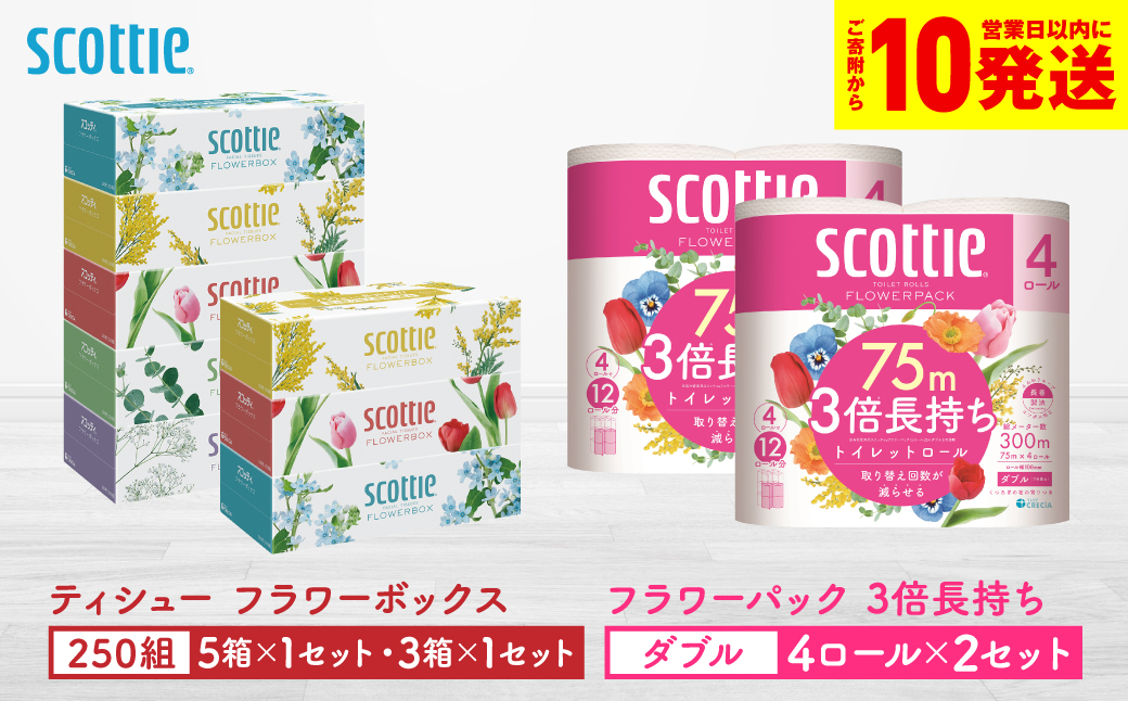 【スコッティ】 組み合わせ ティシュー フラワーボックス 250組 8箱 トイレットロール ダブル フラワーパック 3倍長持ち 8ロール ティッシュ トイレットペーパー 日用品 防災備蓄 ストック 備蓄 新生活 防災 消耗品 生活用品 日用消耗品 箱ティッシュ