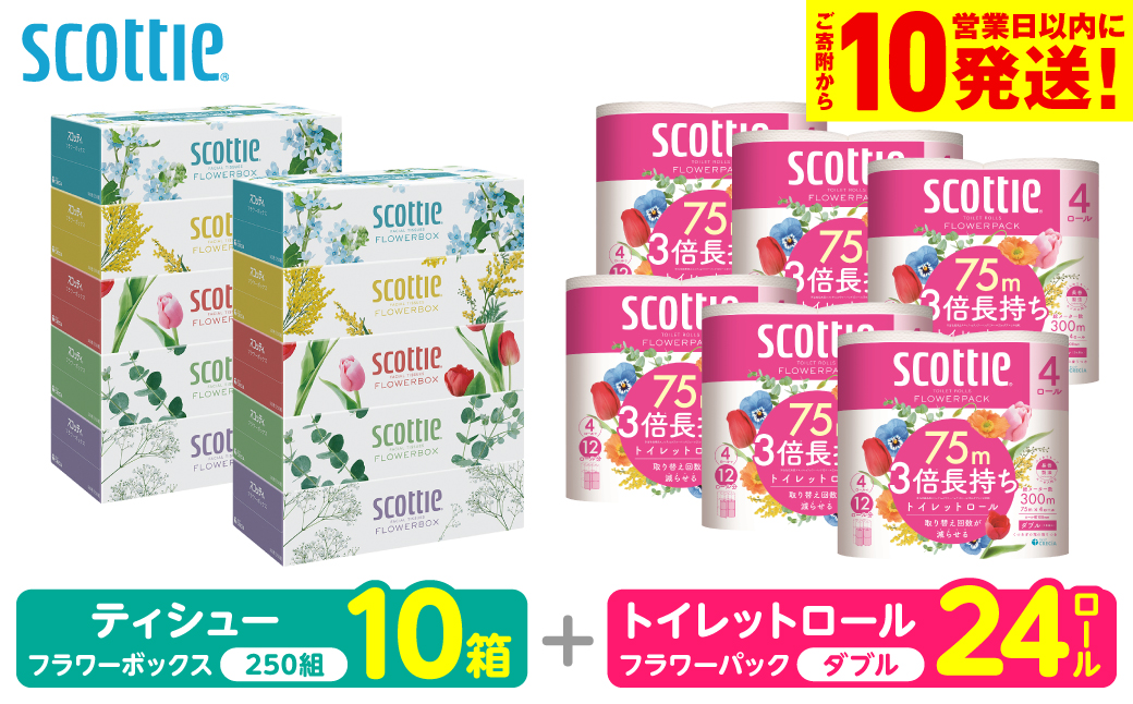 【スコッティ】 組み合わせ ティシュー フラワーボックス 250組 10箱 トイレットロール ダブル フラワーパック 3倍長持ち 24ロール ティッシュ トイレットペーパー 日用品 防災備蓄 ストック 備蓄 新生活 防災 消耗品 生活用品 日用消耗品 箱ティッシュ