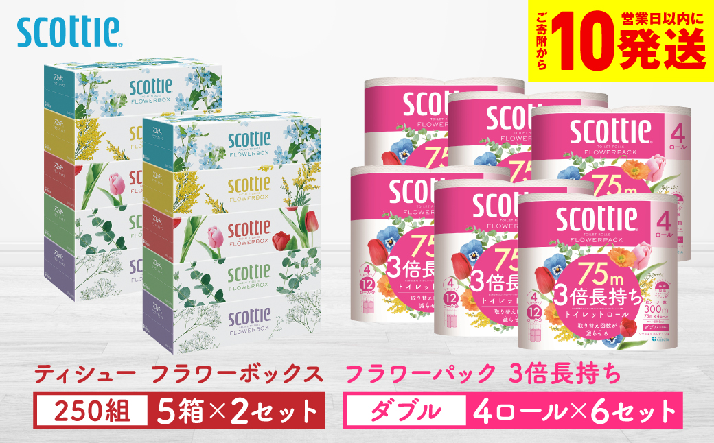 【スコッティ】 組み合わせ ティシュー フラワーボックス 250組 10箱 トイレットロール ダブル フラワーパック 3倍長持ち 24ロール ティッシュ トイレットペーパー 日用品 防災備蓄 ストック 備蓄 新生活 防災 消耗品 生活用品 日用消耗品 箱ティッシュ
