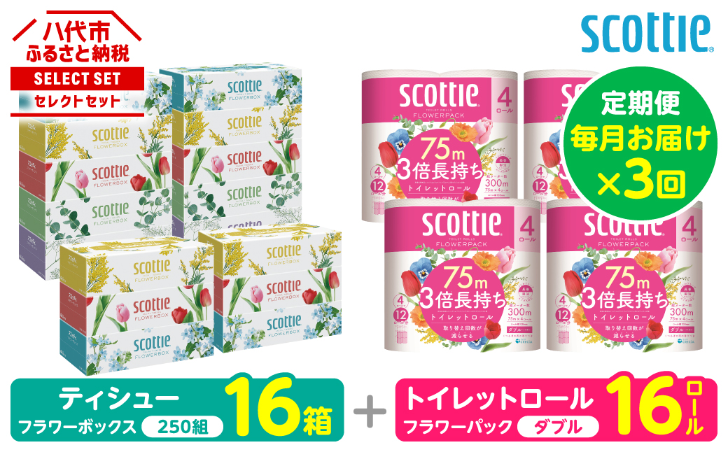 【定期便3回】【毎月お届け】【スコッティ】 組み合わせ ティシュー フラワーボックス 250組 16箱 計48箱 トイレットロール ダブル フラワーパック 3倍長持ち 16ロール 計48ロール ティッシュ トイレットペーパー 日用品 防災備蓄 ストック 備蓄 新生活 防災 消耗品 生活用品 日用消耗品 箱ティッシュ