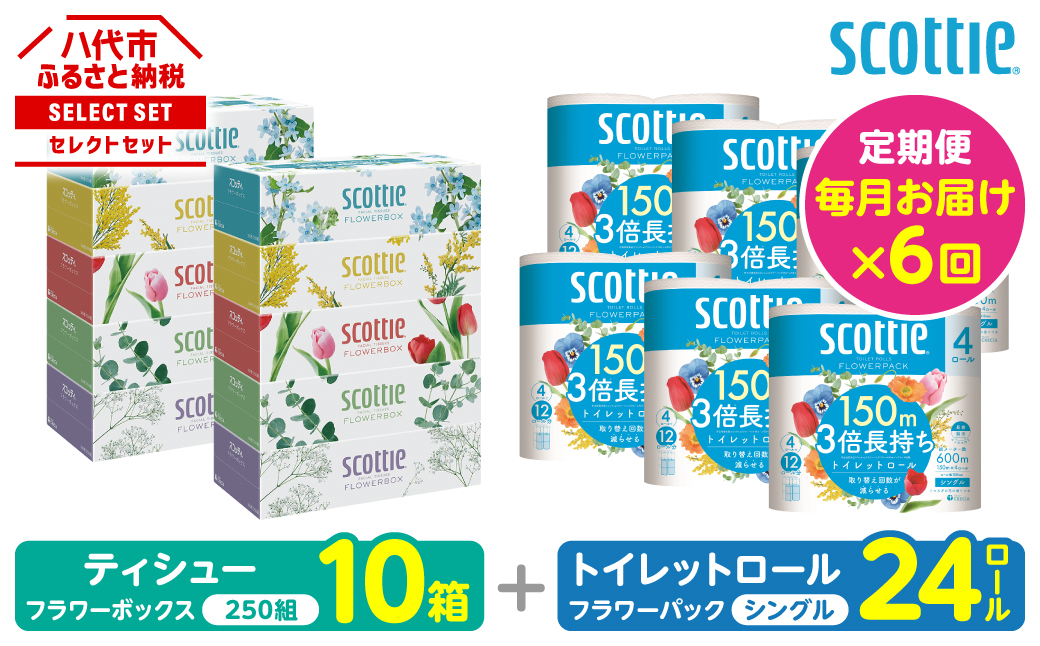 【定期便6回】【毎月お届け】【スコッティ】 組み合わせ ティシュー フラワーボックス 250組 10箱 計60箱 トイレットロール シングル フラワーパック 3倍長持ち 24ロール 計144ロール ティッシュ トイレットペーパー 日用品 ストック 防災備蓄 ストック 備蓄 新生活 防災 消耗品 生活用品 日用消耗品 箱ティッシュ
