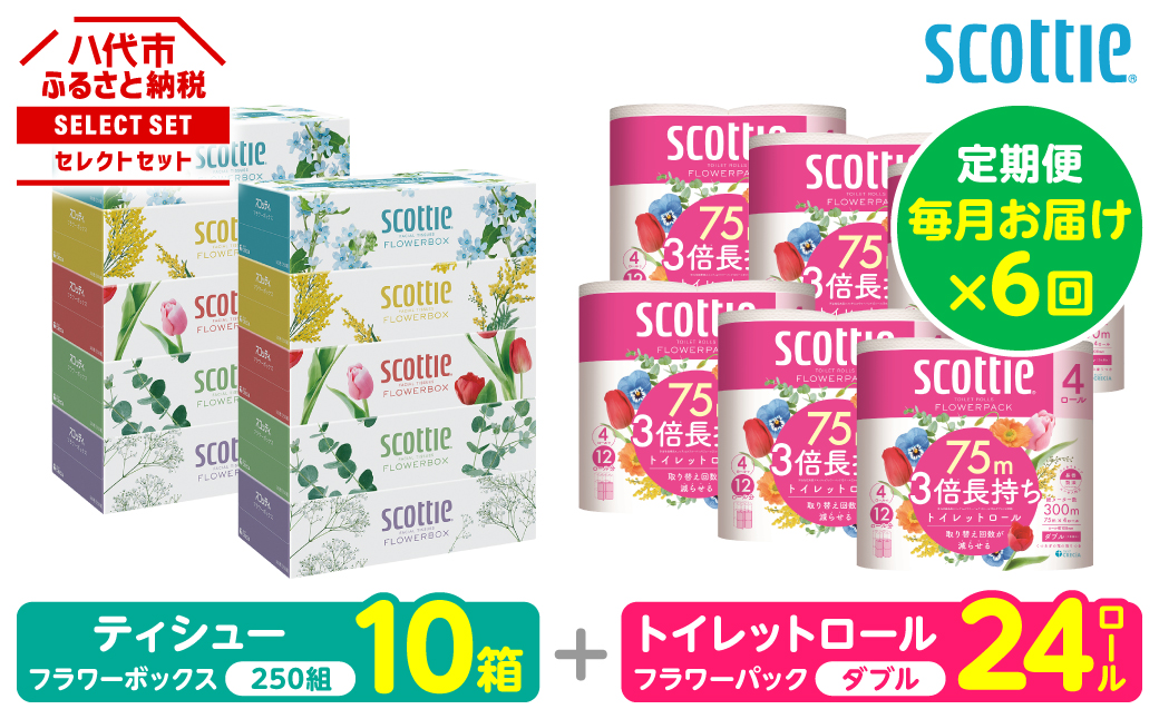 【定期便6回】【毎月お届け】【スコッティ】 組み合わせ ティシュー フラワーボックス 250組 10箱 計60箱 トイレットロール ダブル フラワーパック 3倍長持ち 24ロール 計144ロール ティッシュ トイレットペーパー 日用品 ストック 防災備蓄 ストック 備蓄 新生活 防災 消耗品 生活用品 日用消耗品 箱ティッシュ