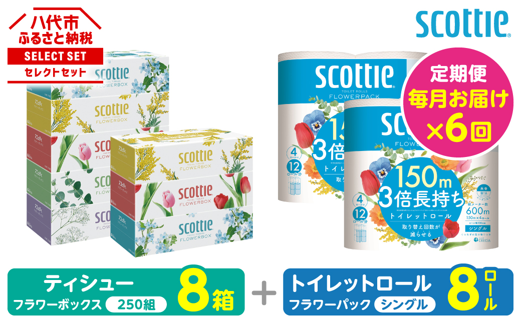 【定期便6回】【毎月お届け】【スコッティ】 組み合わせ ティシュー フラワーボックス 250組 8箱 計48箱 トイレットロール シングル フラワーパック 3倍長持ち 8ロール 計48ロール ティッシュ トイレットペーパー 日用品 ストック 防災備蓄 ストック 備蓄 新生活 防災 消耗品 生活用品 日用消耗品 箱ティッシュ