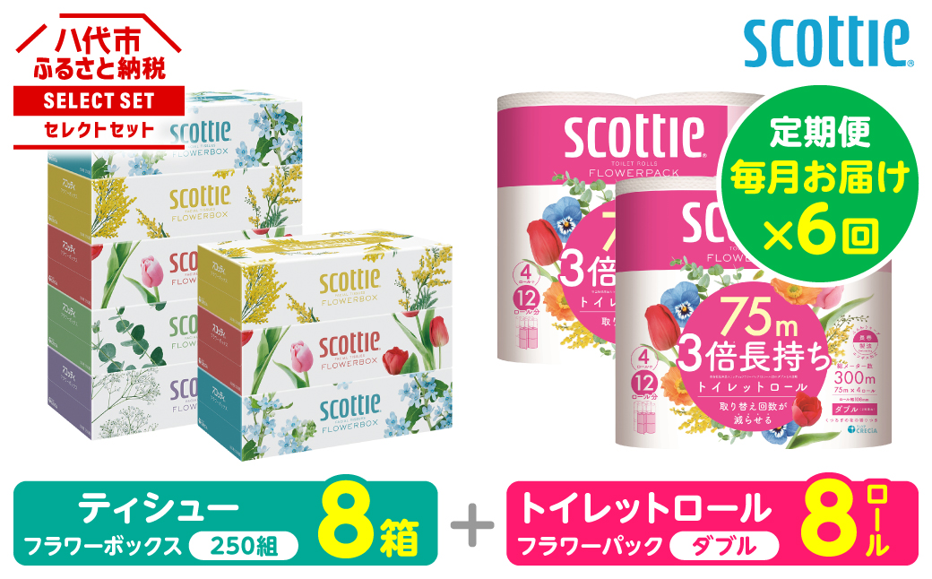 【定期便6回】【毎月お届け】【スコッティ】 組み合わせ ティシュー フラワーボックス 250組 8箱 計48箱 トイレットロール ダブル フラワーパック 3倍長持ち 8ロール 計48ロール ティッシュ トイレットペーパー 日用品 ストック 防災備蓄 ストック 備蓄 新生活 防災 消耗品 生活用品 日用消耗品 箱ティッシュ
