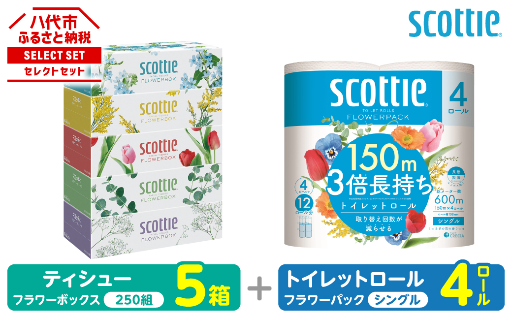 【スコッティ】 組み合わせ ティシュー フラワーボックス 250組 5箱 トイレットロール シングル フラワーパック 3倍長持ち 4ロール ティッシュ トイレットペーパー 日用品 防災備蓄 ストック 備蓄 新生活 防災 消耗品 生活用品 日用消耗品 箱ティッシュ 熊本県 八代市