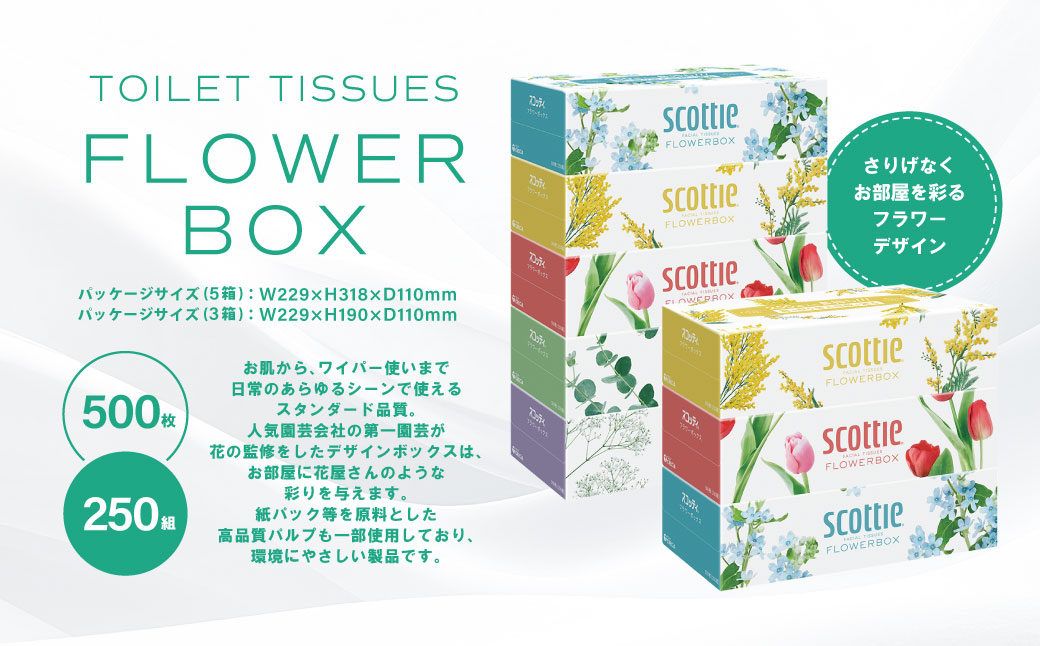 【定期便3回】【毎月1回お届け】【スコッティ】ティシュー フラワーボックス 250組（5箱パック×1セット・3箱パック×1セット）＋フラワーパック 3倍長持ち（4ロール(ダブル)パック×2セット）ティッシュ トイレットペーパー 日用品