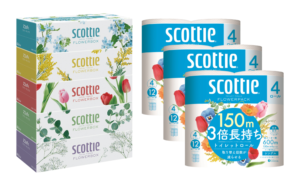 ãå®æäŸ¿3åããæ¯æ1åãå±ãããã¹ã³ããã£ããã£ã·ã¥ãŒ ãã©ã¯ãŒããã¯ã¹ 250çµïŒ5ç®±ããã¯Ã1ã»ããïŒïŒãã©ã¯ãŒãã㯠3åé·æã¡ïŒ4ããŒã«(ã·ã³ã°ã«)ããã¯Ã3ã»ããïŒãã£ãã·ã¥ ãã€ã¬ããããŒã㌠æ¥çšå