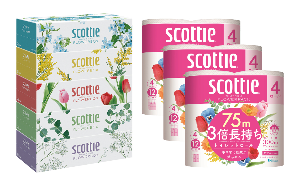 ãå®æäŸ¿3åããæ¯æ1åãå±ãããã¹ã³ããã£ããã£ã·ã¥ãŒ ãã©ã¯ãŒããã¯ã¹ 250çµïŒ5ç®±ããã¯Ã1ã»ããïŒïŒãã©ã¯ãŒãã㯠3åé·æã¡ïŒ4ããŒã«(ããã«)ããã¯Ã3ã»ããïŒãã£ãã·ã¥ ãã€ã¬ããããŒã㌠æ¥çšå