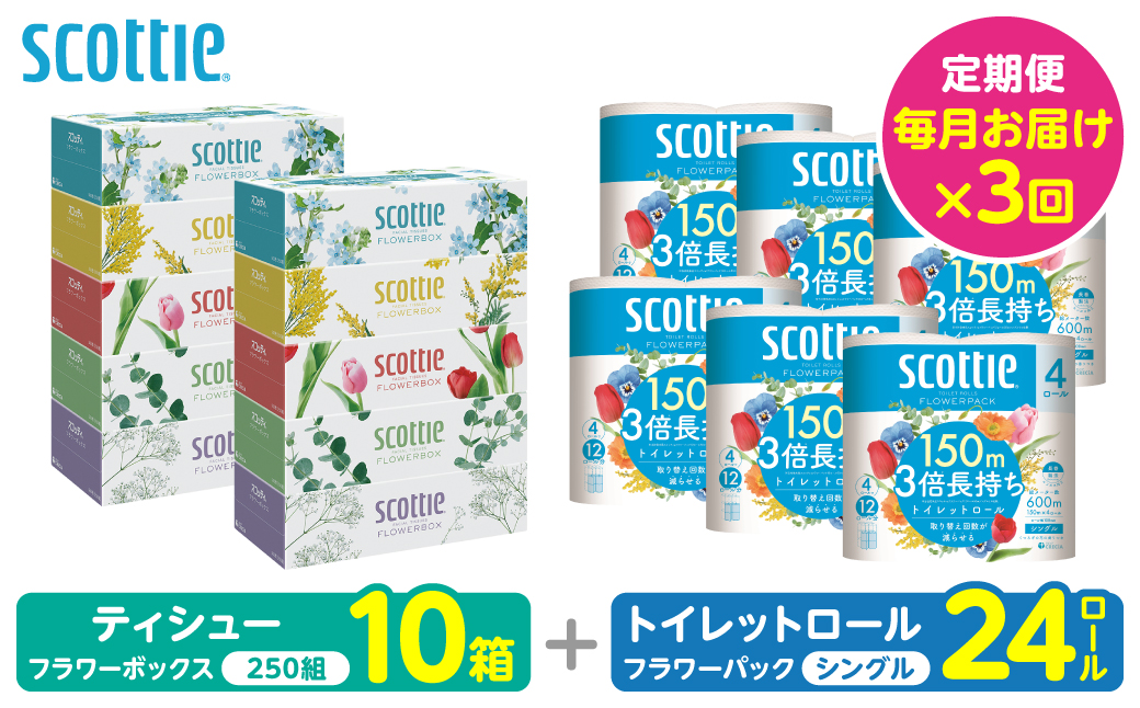 【定期便3回】【毎月お届け】【スコッティ】 組み合わせ ティシュー フラワーボックス 250組 10箱 計30箱 トイレットロール シングル フラワーパック 3倍長持ち 24ロール 計72ロール ティッシュ トイレットペーパー 日用品 防災備蓄 ストック 備蓄 新生活 防災 消耗品 生活用品 日用消耗品 箱ティッシュ