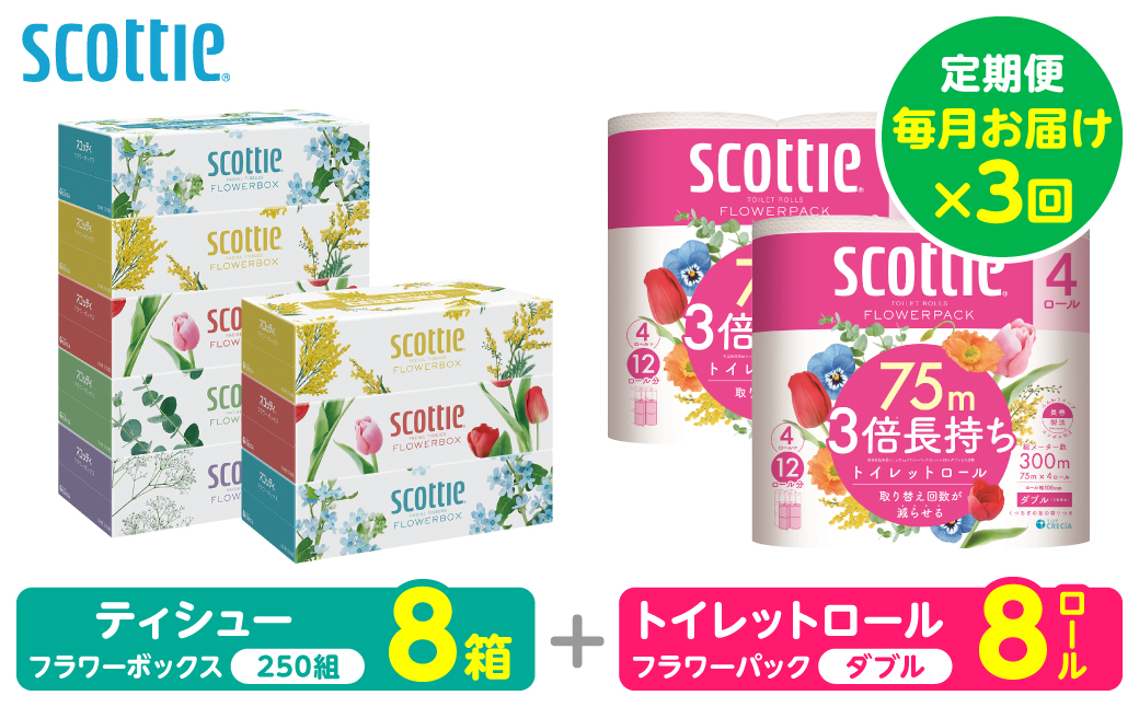 【定期便3回】【毎月お届け】【スコッティ】 組み合わせ ティシュー フラワーボックス 250組 8箱 計24箱 トイレットロール ダブル フラワーパック 3倍長持ち 8ロール 計24ロール ティッシュ トイレットペーパー 日用品 防災備蓄 ストック 備蓄 新生活 防災 消耗品 生活用品 日用消耗品 箱ティッシュ
