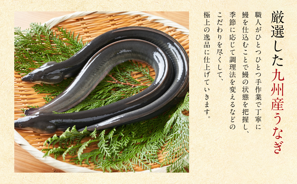 鰻䞞(ããªãŸã) ä¹å·ç£ ããªãè²çŒã2å°Ÿ ïŒ å»ã¿è²çŒã1ããã¯ã»ãã é°» ãŠãã® ããªãã®è²çŒ äžã®æ¥ ç§äŒã¿ã¬ ç¡é ããªäžŒ ããªé ã²ã€ãŸã¶ã