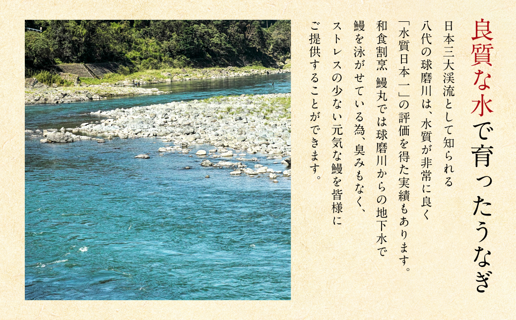 鰻䞞(ããªãŸã) ä¹å·ç£ ããªãè²çŒã2å°Ÿ ïŒ å»ã¿è²çŒã1ããã¯ã»ãã é°» ãŠãã® ããªãã®è²çŒ äžã®æ¥ ç§äŒã¿ã¬ ç¡é ããªäžŒ ããªé ã²ã€ãŸã¶ã