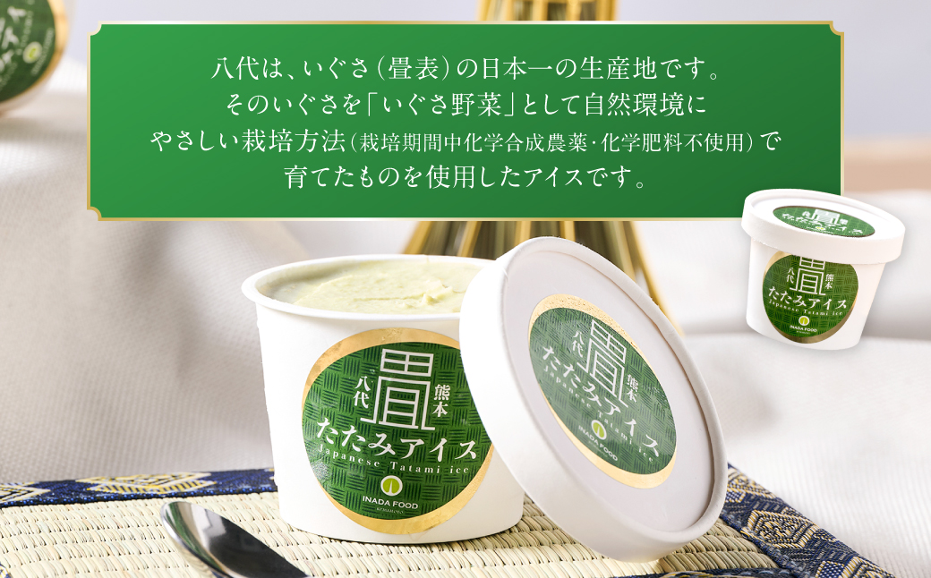 たたみアイス 12個入 いぐさ 畳 スイーツ いぐさミルク味 玄米味 食用いぐさ 和風アイス デザート おやつ ジャージー牛乳使用
