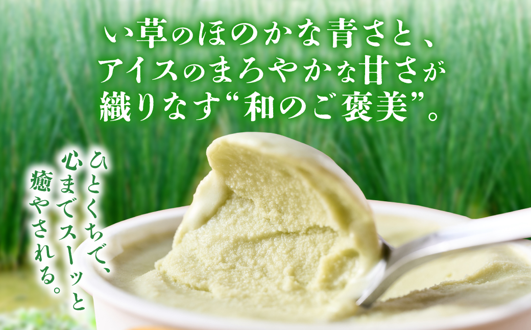 たたみアイス 12個入 いぐさ 畳 スイーツ いぐさミルク味 玄米味 食用いぐさ 和風アイス デザート おやつ ジャージー牛乳使用