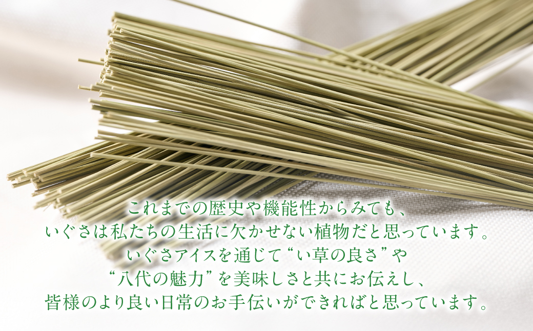 たたみアイス 12個入 いぐさ 畳 スイーツ いぐさミルク味 玄米味 食用いぐさ 和風アイス デザート おやつ ジャージー牛乳使用