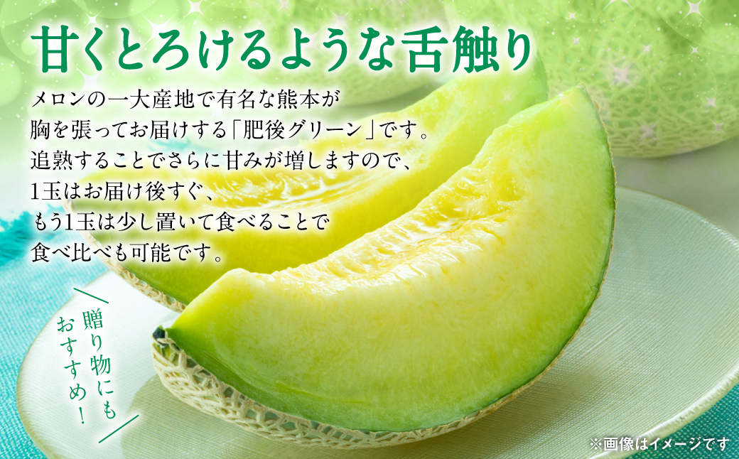 【先行予約】 八代市産 肥後グリーン 1玉 （約1.3kg以上） 熊本 メロン 果物 くだもの フルーツ 青肉メロン 青肉 【2026年6月中旬より順次発送】
