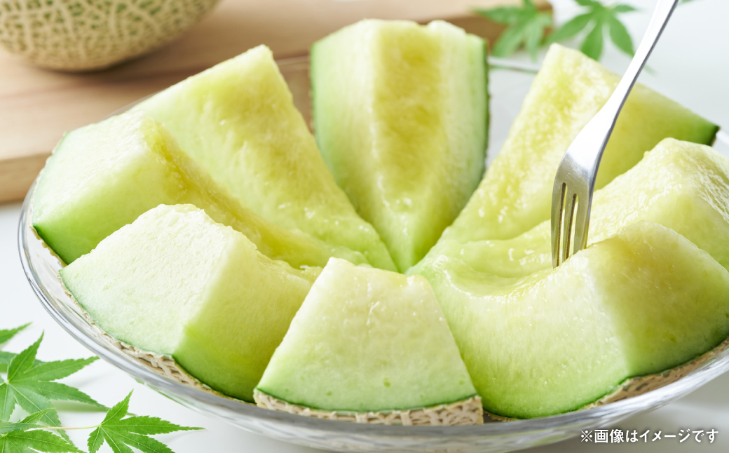 【先行予約】 八代市産 肥後グリーン 1玉 （約1.3kg以上） 熊本 メロン 果物 くだもの フルーツ 青肉メロン 青肉 【2026年6月中旬より順次発送】