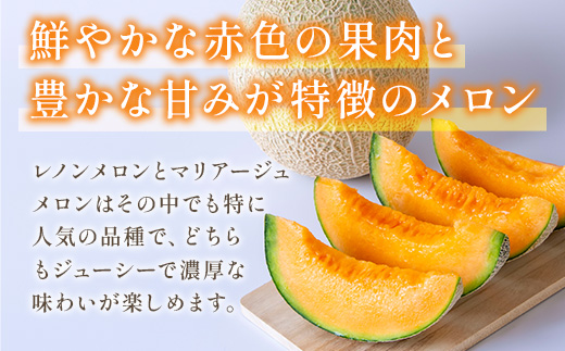 【先行予約】赤肉メロン（レノンまたはマリアージュメロン）約1.3kg 果物 くだもの 旬 ご褒美 季節の果物 赤肉 メロン 八代市産 【2026年6月中旬より順次発送】