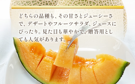 【先行予約】赤肉メロン（レノンまたはマリアージュメロン）約1.3kg 果物 くだもの 旬 ご褒美 季節の果物 赤肉 メロン 八代市産 【2026年6月中旬より順次発送】