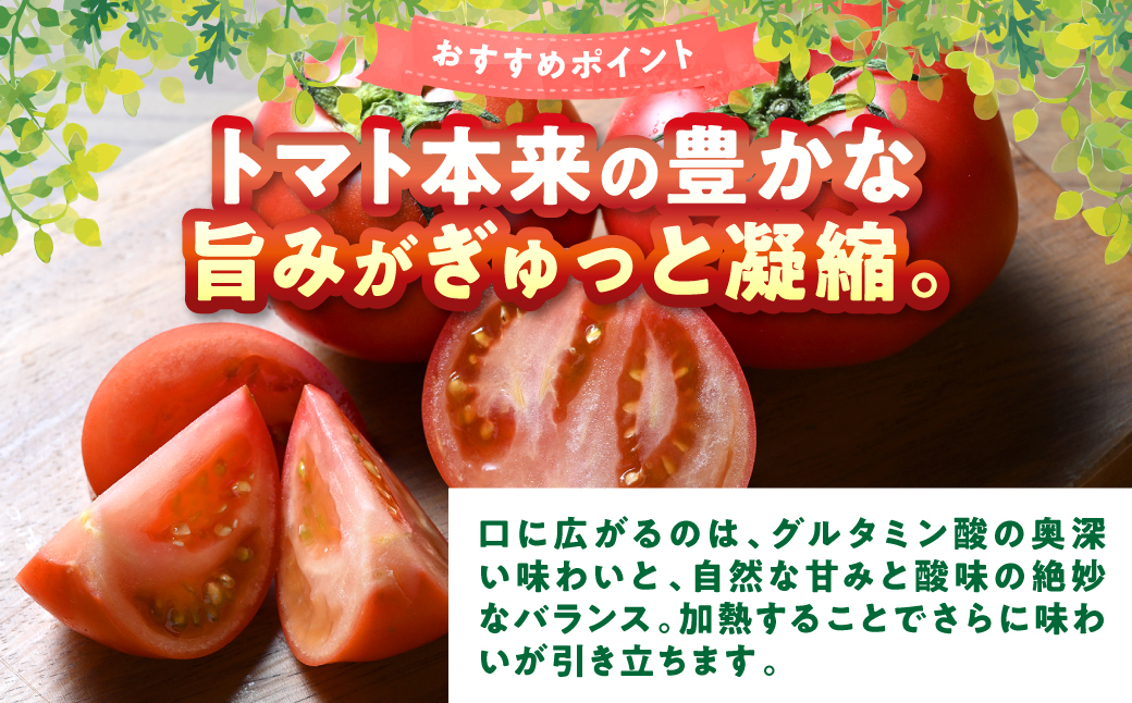 【訳あり】 おっぺしゃんトマト 3.5kg トマト とまと 野菜 やさい 旬の野菜 新鮮な野菜 地元産野菜 ご当地 国産 特産品 家庭用 食卓 熊本県 八代市