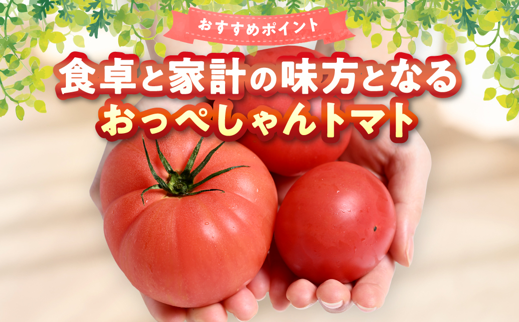 【訳あり】 おっぺしゃんトマト 3.5kg トマト とまと 野菜 やさい 旬の野菜 新鮮な野菜 地元産野菜 ご当地 国産 特産品 家庭用 食卓 熊本県 八代市