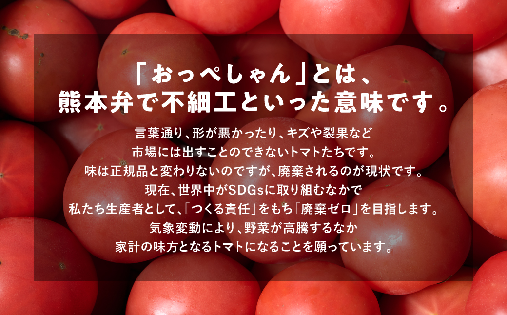【訳あり】 おっぺしゃんトマト 3.5kg トマト とまと 野菜 やさい 旬の野菜 新鮮な野菜 地元産野菜 ご当地 国産 特産品 家庭用 食卓 熊本県 八代市