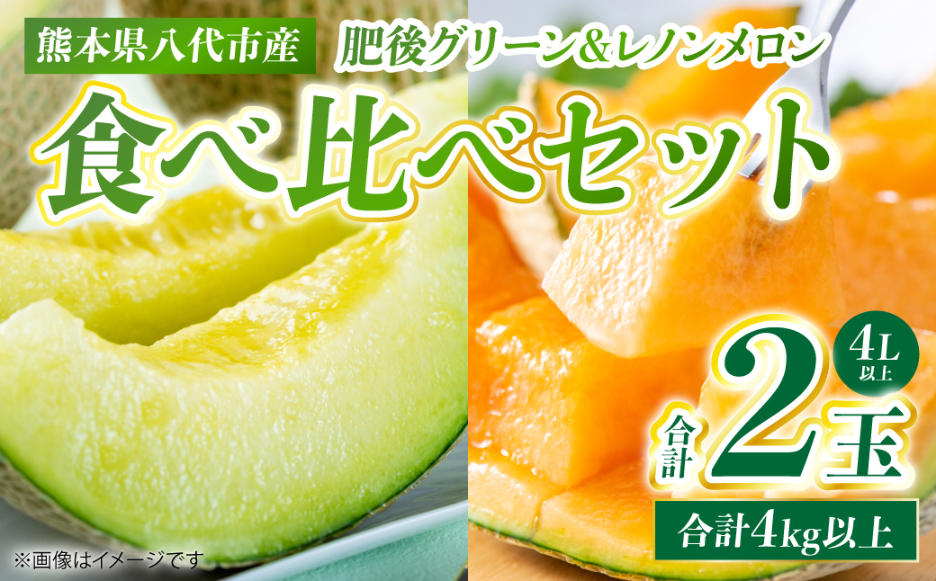 肥後グリーン ＆ レノンメロン 食べ比べセット 合計2玉 4L以上（合計4kg以上） メロン 赤肉メロン 果物 果実 くだもの フルーツ 熊本県 八代市