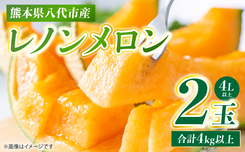 レノンメロン 2玉 4L以上（合計4kg以上）メロン 赤肉メロン 果物 果実 くだもの フルーツ 熊本県 八代市