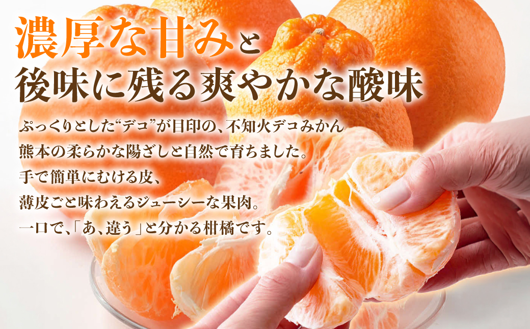 【先行予約】 不知火 デコみかん (デコポン同品種) 約3kg (6～13玉) フルーツ くだもの 果物 みかん 蜜柑 ミカン 柑橘 おやつ デザート 旬 熊本県 八代市 【2027年2月上旬より順次発送】