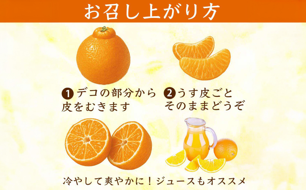 【先行予約】 不知火 デコみかん (デコポン同品種) 約3kg (6～13玉) フルーツ くだもの 果物 みかん 蜜柑 ミカン 柑橘 おやつ デザート 旬 熊本県 八代市 【2027年2月上旬より順次発送】